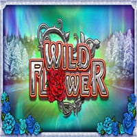 Wild Flower